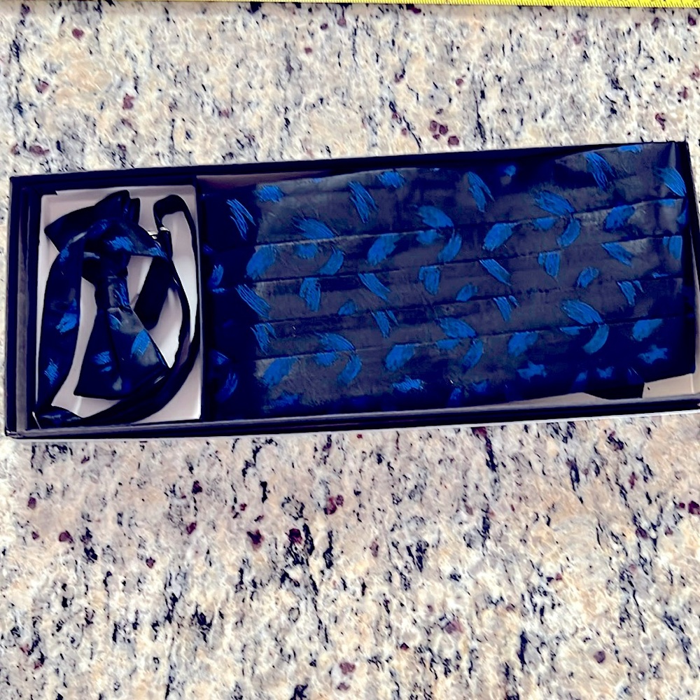 After Six Formal Wear Satin Black &Blue Bow Tie & Cummerbund Box Set